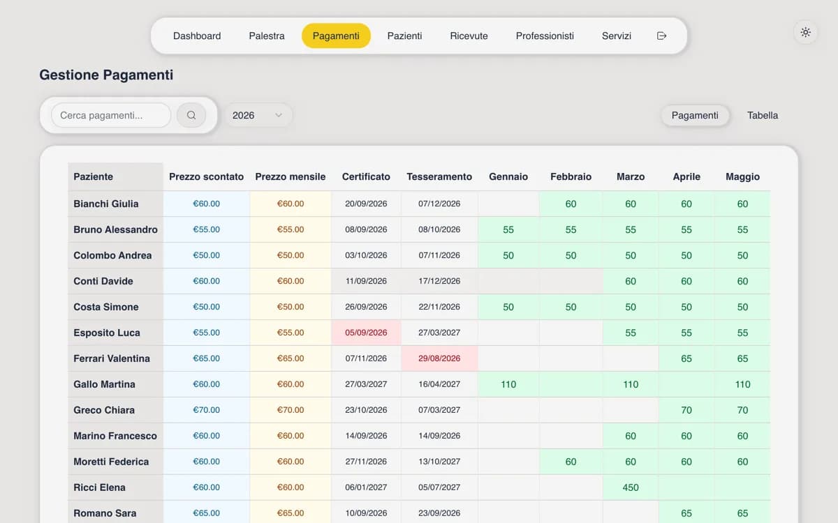 Payment grid with one row per patient and one column per month, green cells for covered months
